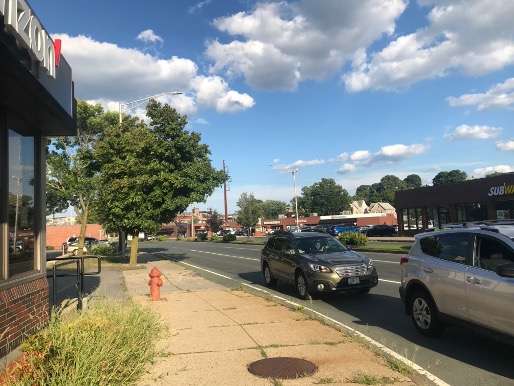Figure 8
Vegetation grows between the concrete sidewalk slabs outside of the Verizon store on the northeast corner of the intersection. Figure 8
Vegetation grows between the concrete sidewalk slabs outside of the Verizon store on the northeast corner of the intersection.